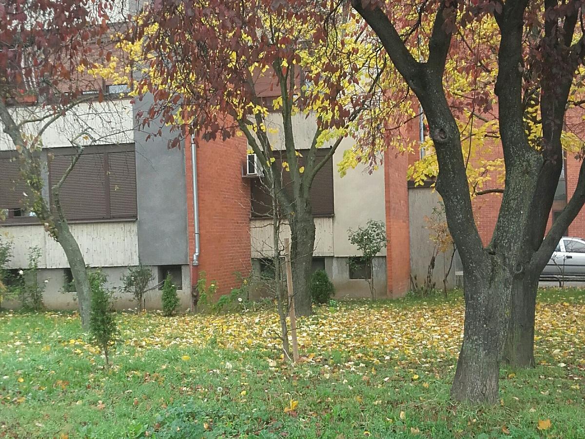 Apartment Ina Zagreb Bagian luar foto